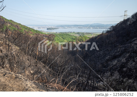 日本の岡山県児島半島の八丈岩山の山火事後でも美しい風景 日本の岡山県児島半島の八丈岩山の山火事後でも美しい風景 125806252