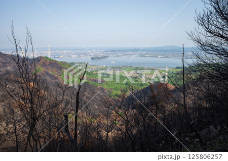 日本の岡山県児島半島の八丈岩山の山火事後でも美しい風景 日本の岡山県児島半島の八丈岩山の山火事後でも美しい風景 125806257