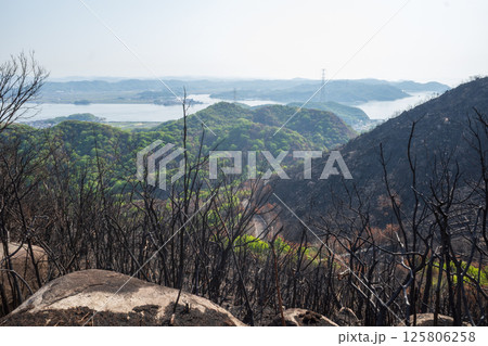 日本の岡山県児島半島の八丈岩山の山火事後でも美しい風景 125806258