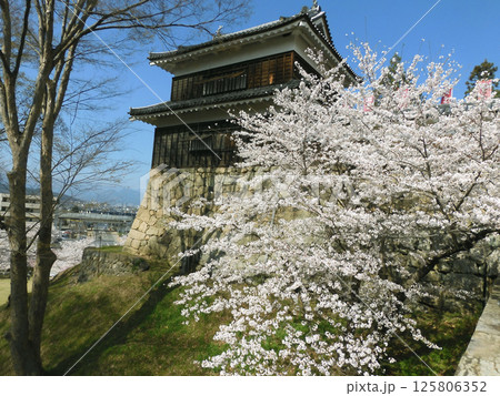 上田城　桜 125806352