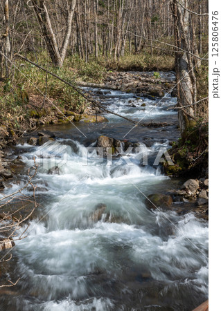 山奥の春の渓流 125806476