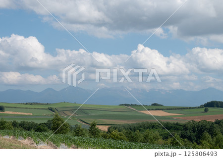 夏の畑作地帯と山並み　十勝岳連峰 125806493