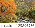 秋と紅葉と渓谷 125806536