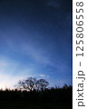 青空と立木 125806558
