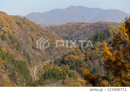紅葉の山を走る湘南色115系 紅葉の山を走る湘南色115系 125806711