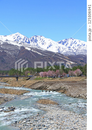 平川橋から望む春の白馬三山 125806941