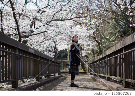 春の桜満開の公園で元気で遊んでいる女子中学生の姿 春の桜満開の公園で元気で遊んでいる女子中学生の姿 125807268