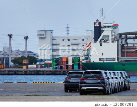 港にあるたくさんの輸出用の乗用車の風景 125807291