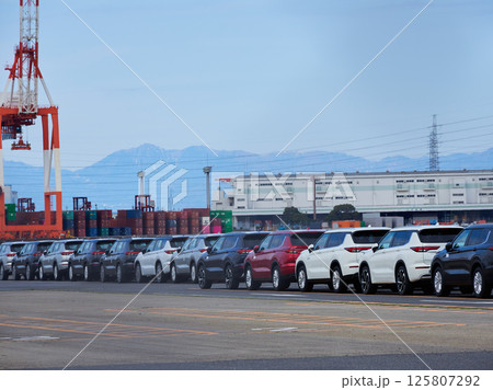 港にあるたくさんの輸出用の乗用車の風景 125807292