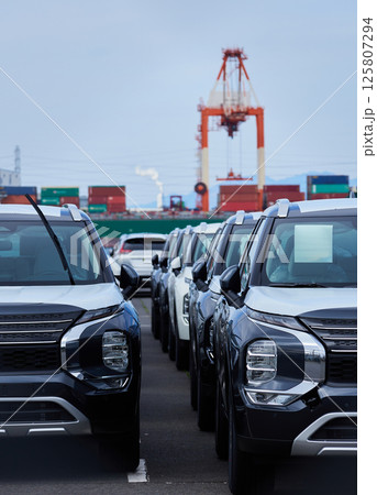 港にあるたくさんの輸出用の乗用車の風景 125807294