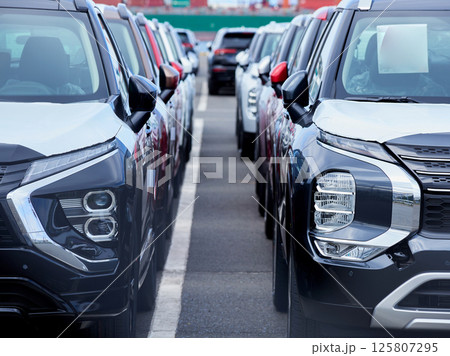 港にあるたくさんの輸出用の乗用車の風景 125807295