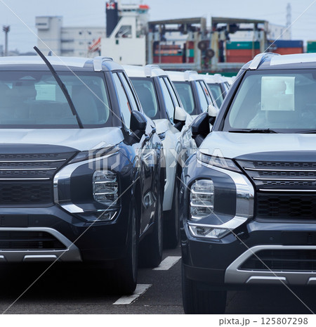 港にあるたくさんの輸出用の乗用車の様子 125807298