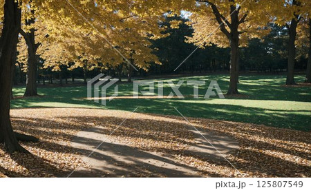 紅葉したイチョウ並木 125807549