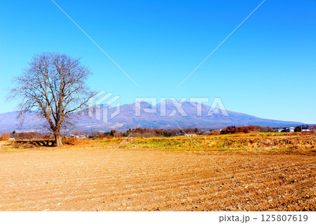 12月の浅間山　　　信州の山々　　　信州の自然　　　信州の風景 125807619