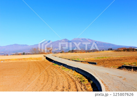 12月の浅間山 信州の山々 信州の自然 信州の風景 12月の浅間山 信州の山々 信州の自然 信州の風景 125807626
