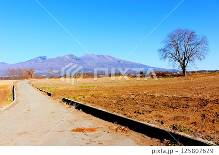 12月の浅間山　　　信州の山々　　　信州の自然　　　信州の風景 125807629
