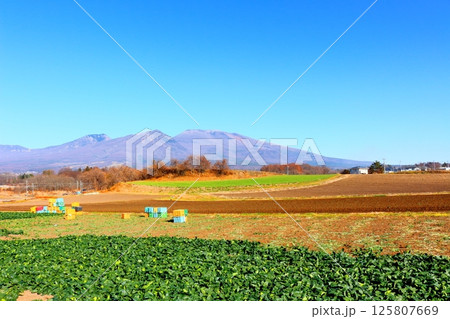 12月の浅間山　　　信州の山々　　　信州の自然　　　信州の風景 125807669