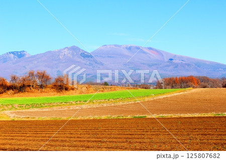 12月の浅間山 信州の山々 信州の自然 信州の風景 12月の浅間山 信州の山々 信州の自然 信州の風景 125807682