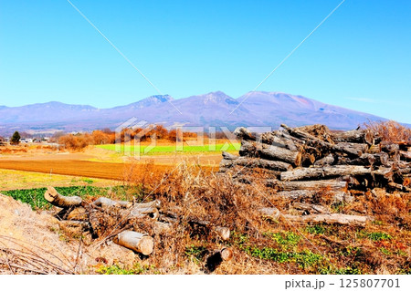 12月の浅間山　　　信州の山々　　　信州の自然　　　信州の風景 125807701