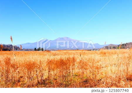 12月の浅間山 信州の山々 信州の自然 信州の風景 12月の浅間山 信州の山々 信州の自然 信州の風景 125807740