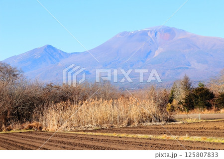 12月の浅間山　　　信州の山々　　　信州の自然　　　信州の風景 125807833