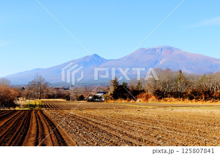 12月の浅間山 信州の山々 信州の自然 信州の風景 12月の浅間山 信州の山々 信州の自然 信州の風景 125807841