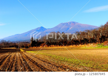12月の浅間山　　　信州の山々　　　信州の自然　　　信州の風景 125807845