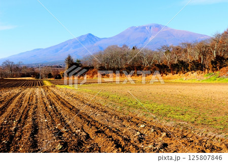 12月の浅間山　　　信州の山々　　　信州の自然　　　信州の風景 125807846