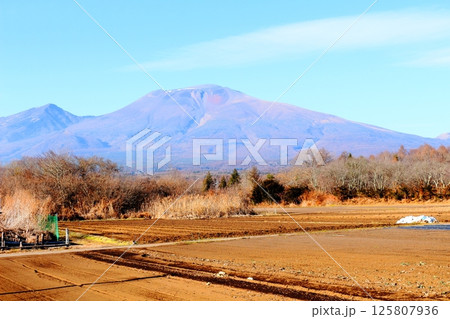 12月の浅間山　　　信州の山々　　　信州の自然　　　信州の風景 125807936