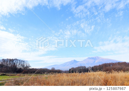 12月の浅間山 信州の山々 信州の自然 信州の風景 12月の浅間山 信州の山々 信州の自然 信州の風景 125807987