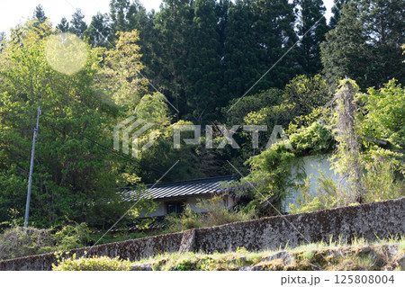 日本の兵庫県養父市の古くてとても美しい建物 日本の兵庫県養父市の古くてとても美しい建物 125808004