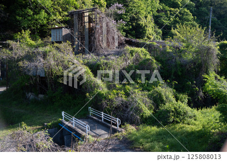 日本の兵庫県養父市の古くてとても美しい建物 125808013