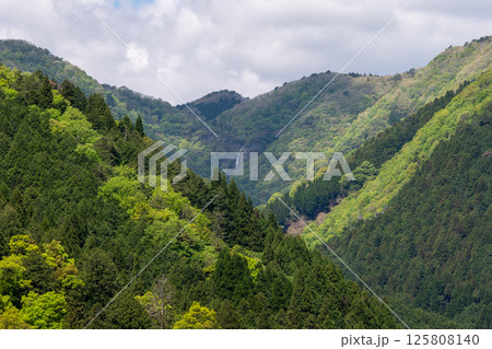 日本の兵庫県養父市の天滝の美しい風景 日本の兵庫県養父市の天滝の美しい風景 125808140