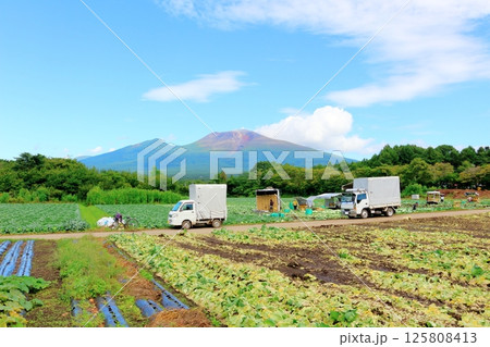8月の浅間山と高原野菜畑　　　信州の山々　　　信州の自然　　　信州の風景 125808413