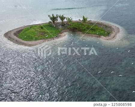 サモアの首都アピア沖合の美しい小島の空撮 サモアの首都アピア沖合の美しい小島の空撮 125808598
