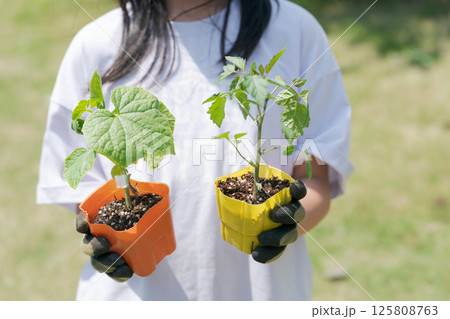 野菜の苗を持つ女の子 野菜の苗を持つ女の子 125808763