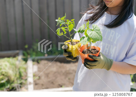 野菜の苗を持つ女の子 125808767
