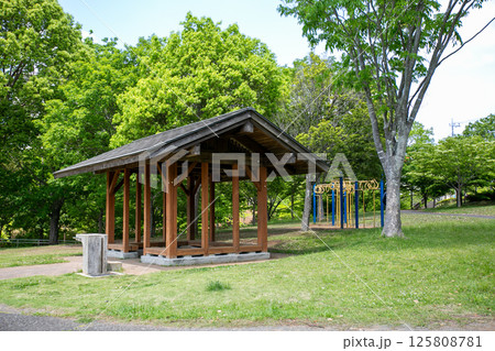 遊歩道沿いにある公園 125808781
