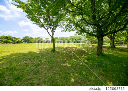 遊歩道沿いにある公園 125808783