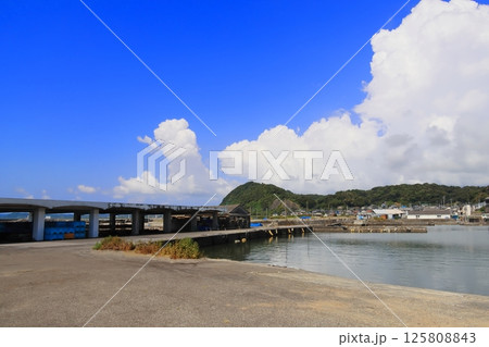 千葉県南房総市和田町和田漁港の青い海 125808843