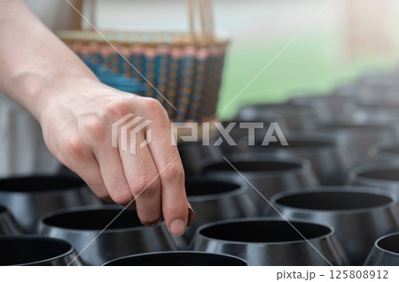 Close up of someone hand giving money coin for donation in Buddhist temple. 125808912