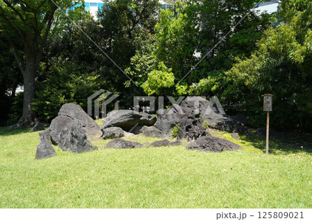 旧芝離宮恩賜庭園 125809021