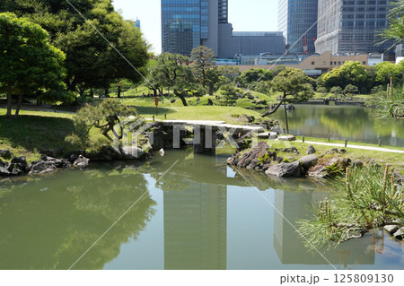 旧芝離宮恩賜庭園 旧芝離宮恩賜庭園 125809130