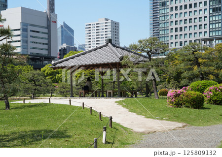 旧芝離宮恩賜庭園 旧芝離宮恩賜庭園 125809132