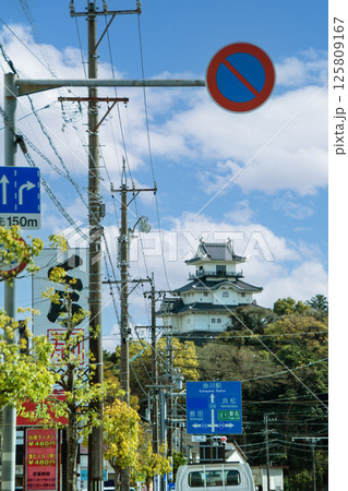 県道254号線から正面に見える掛川城天守閣 125809167