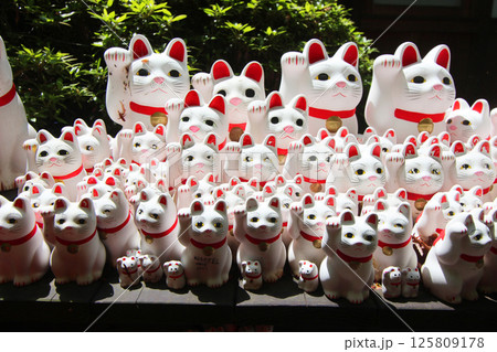 豪徳寺の招き猫 豪徳寺の招き猫 125809178