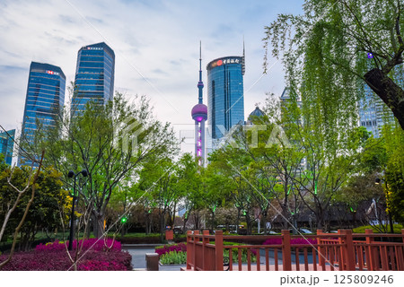 Shanghai, China 1 April 2025: View of Oriental Pearl Tower and Pudong skyline through spring greenery and garden bridge in city park Shanghai, China 1 April 2025: View of Oriental Pearl Tower and Pudong skyline through spring greenery and garden bridge in city park 125809246