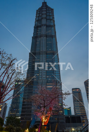 Shanghai, China 1 April 2025: Vertical night shot of Jin Mao Tower glowing against dark sky, surrounded by sakura blossoms and illuminated butterfly installations Shanghai, China 1 April 2025: Vertical night shot of Jin Mao Tower glowing against dark sky, surrounded by sakura blossoms and illuminated butterfly installations 125809248