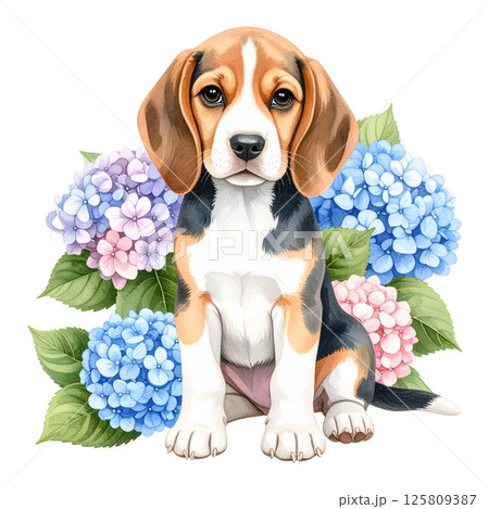 アジサイの花とビーグルの子犬のイラスト1／チラシやポスター用素材 125809387