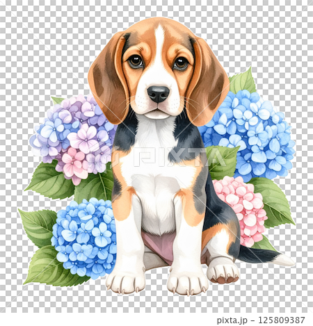 繡球花和小獵犬小狗的插圖1 /傳單和海報材料 125809387